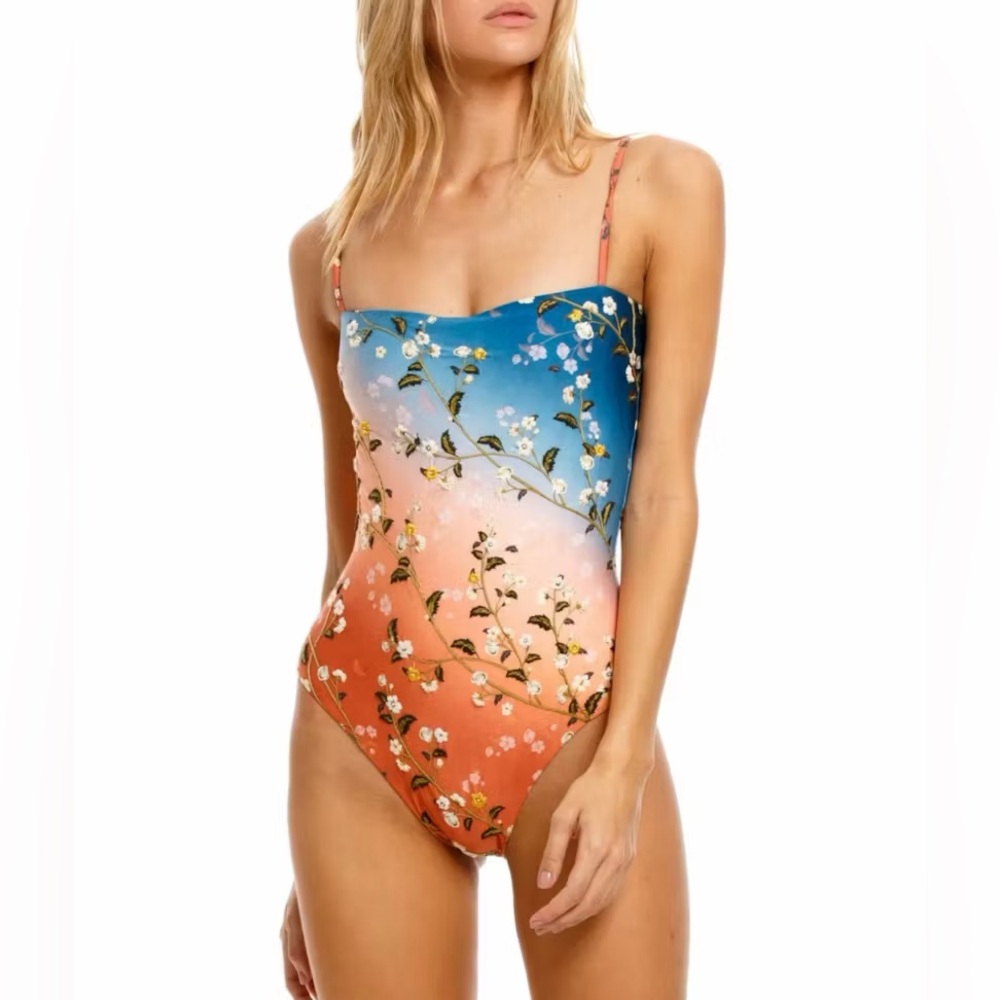 Agua Bendita Floral Gradient One-Piece Swimsuit